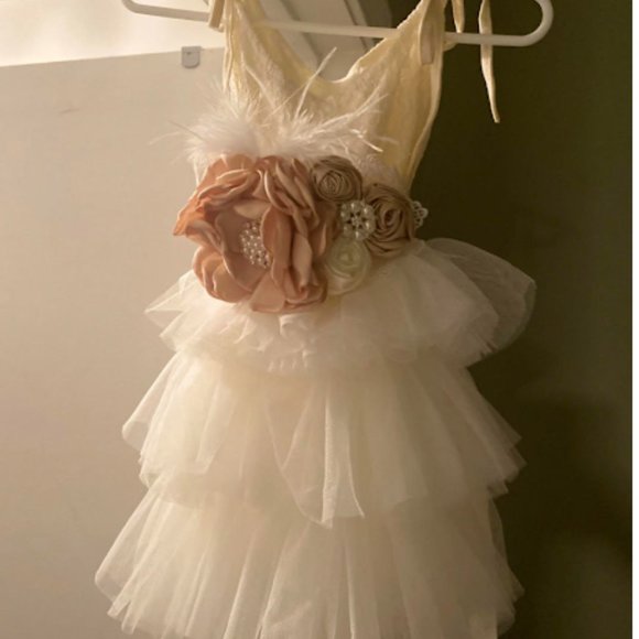 Flower Girl Dress - Picture 1 of 4